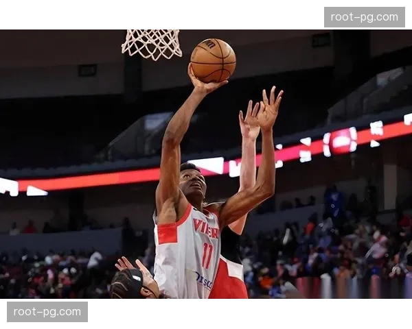 尼克斯前场篮板统治力 净机会数领跑全联盟